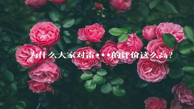 为什么大家对雷***的评价这么高？