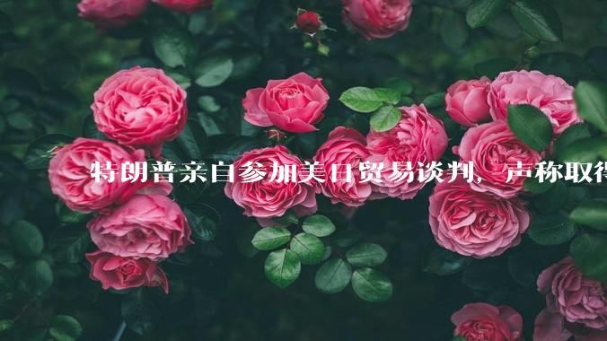 特朗普亲自参加美日贸易谈判，声称取得「重大进展」，双方预计会达成哪些方面的合作？