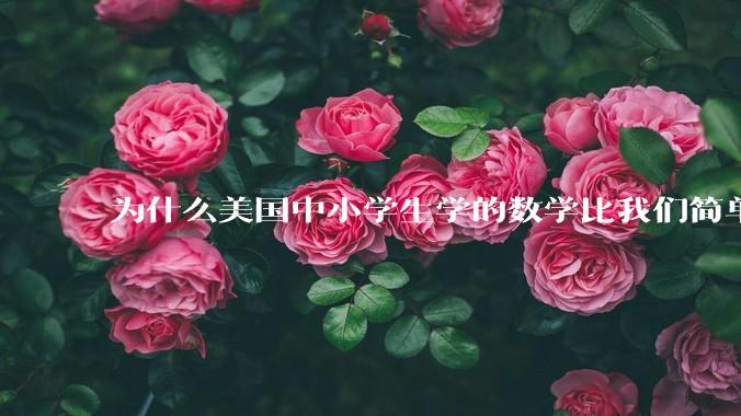 为什么美国中小学生学的数学比我们简单，美国人却还能做出超级牛的东西？