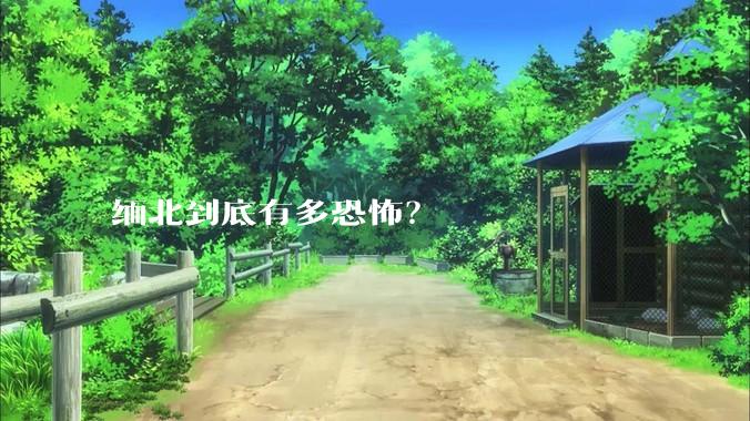 缅北到底有多恐怖？