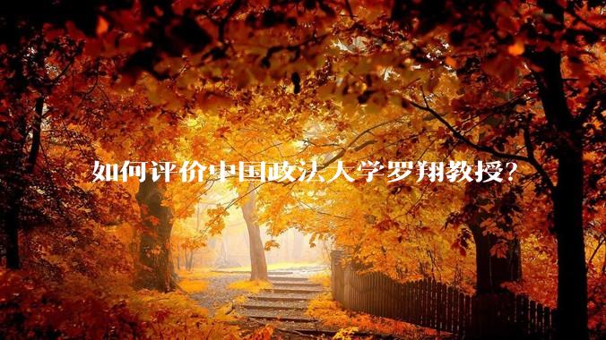 如何评价中国政法大学罗翔教授？